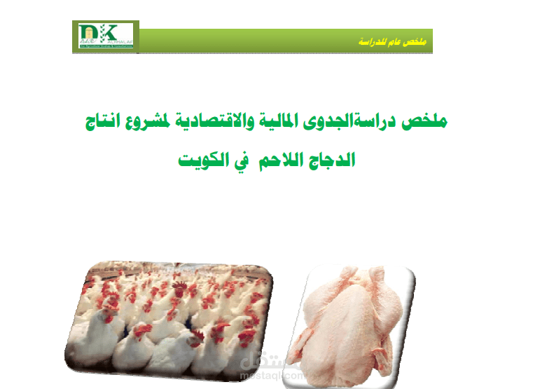 دراسة جدوى مشروع الدجاج اللاحم