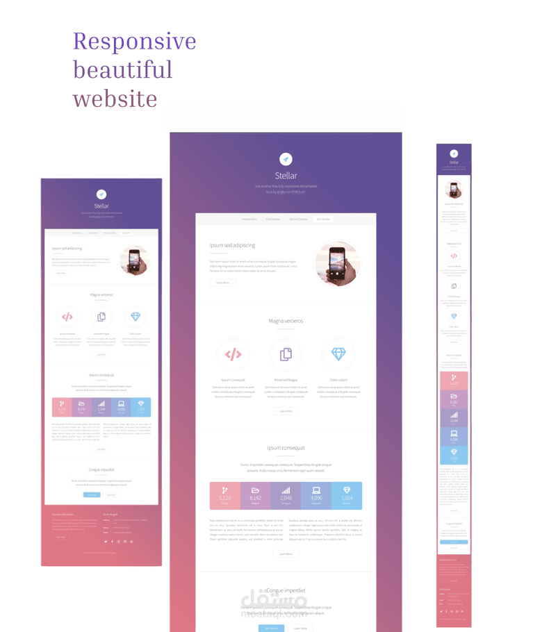 تمبلت ويب متجاوب باستخدام Flexbox - تصميم حديث ومرن للأجهزة المختلفة
