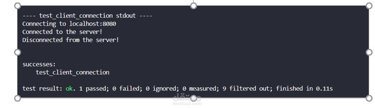 اختبار نظام تشفير وتأمين البيانات باستخدام لغة Rust