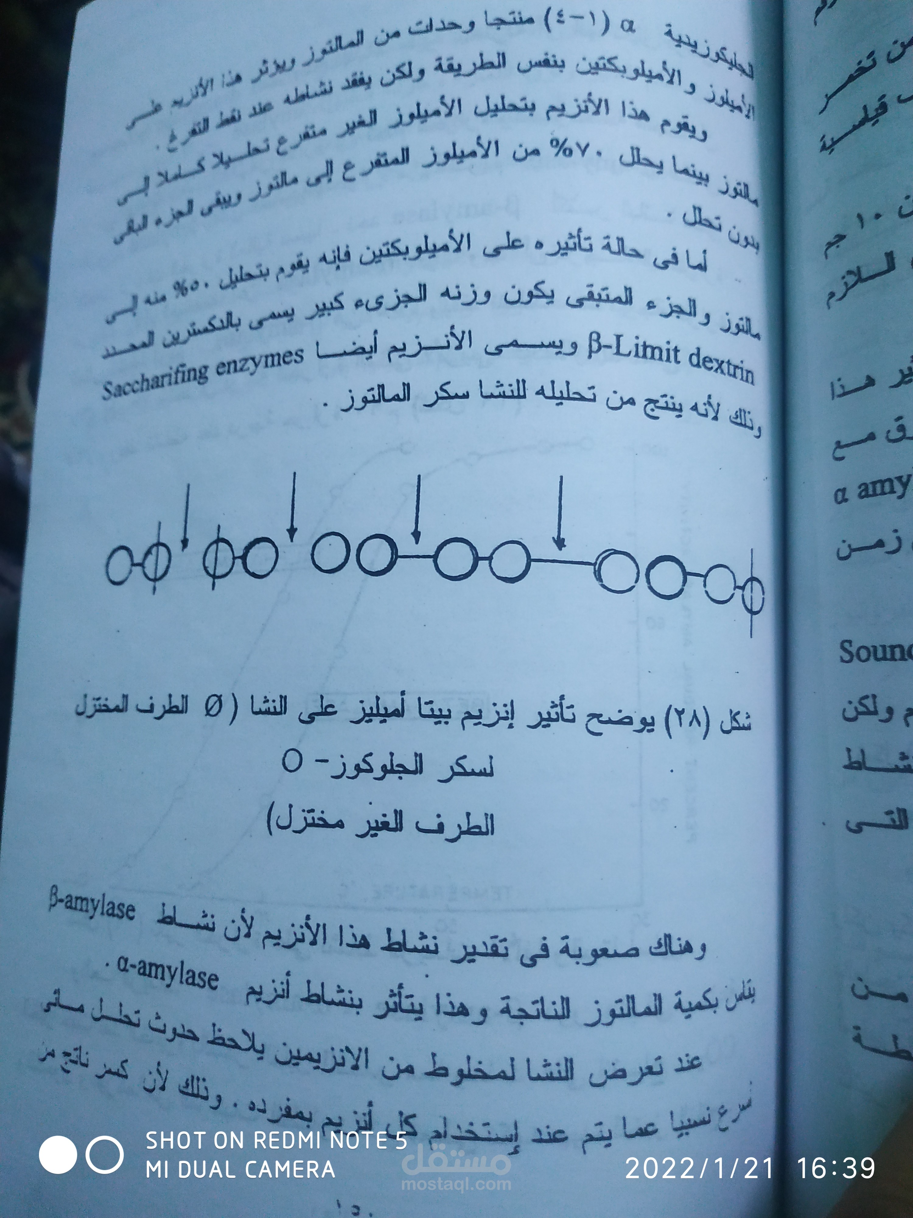 تسجيل كورسات ومناهج تعليمية