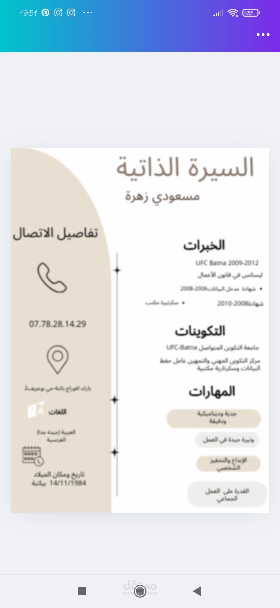 سيرة ذاتية احترافية