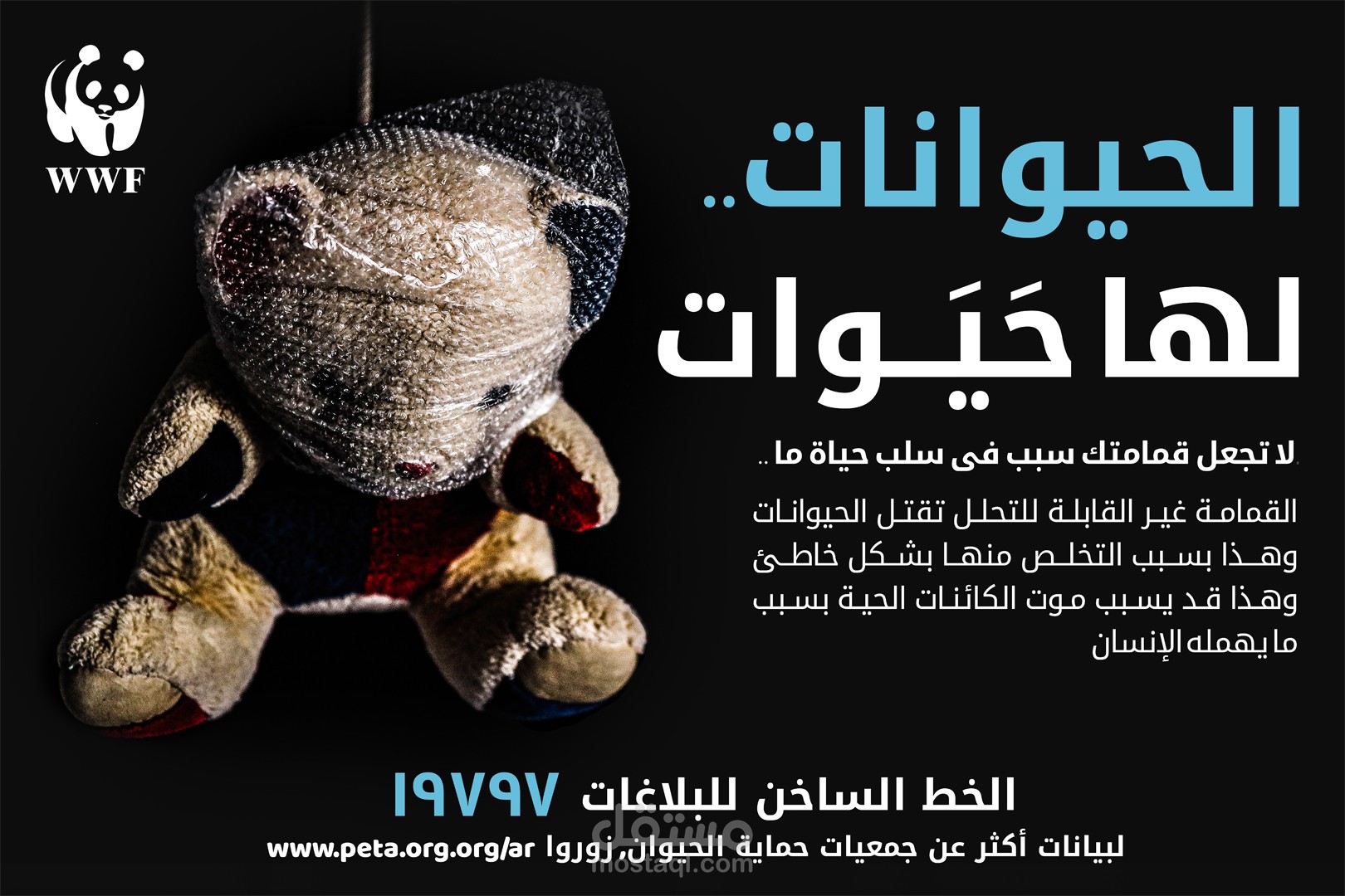 بوستر توعوى عن حماية الحيوان وحقوقه