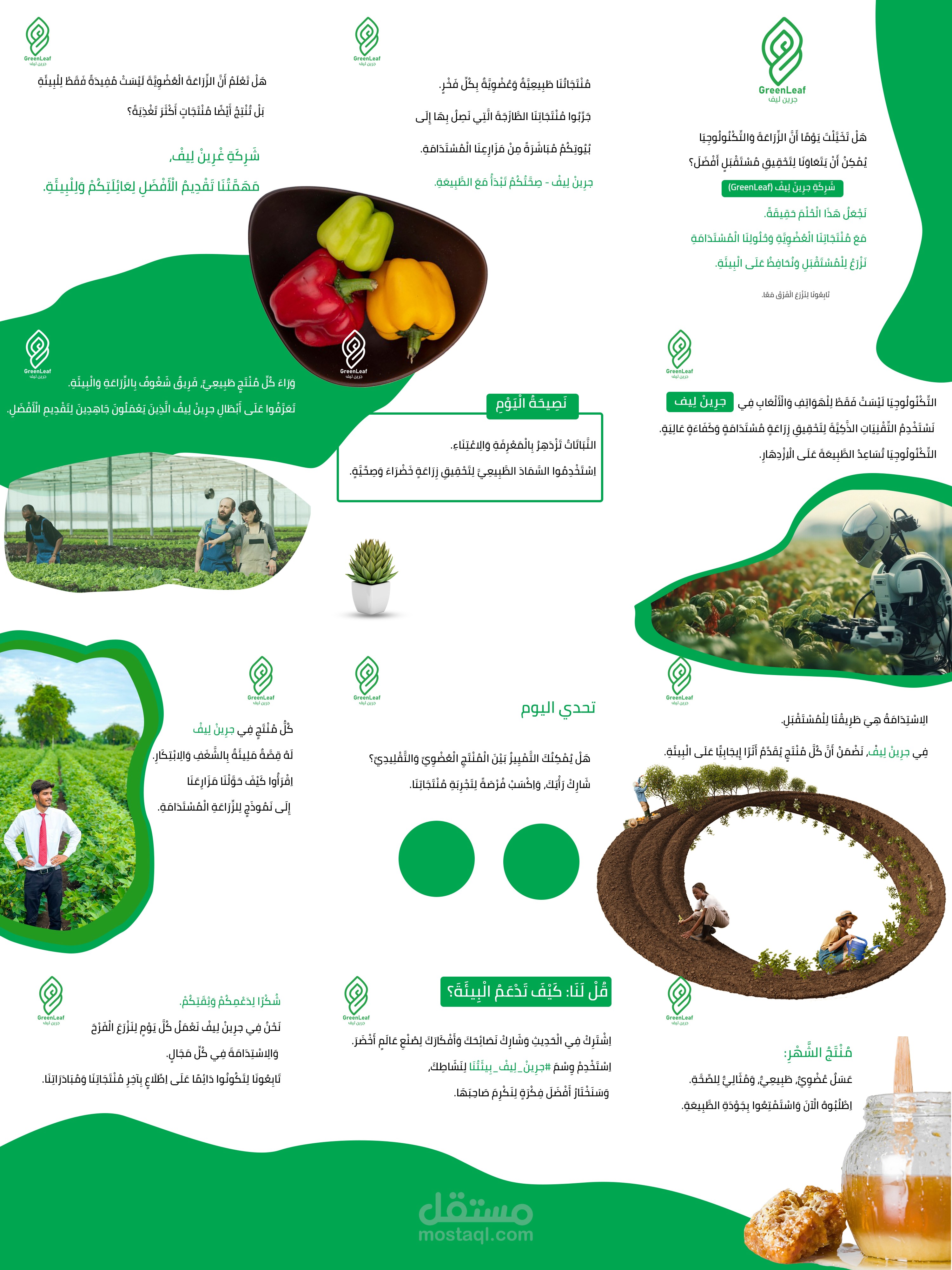 تصميم شبكة انستقرام متصلة (Puzzle Grid) لهوية شركة "جرين ليف"