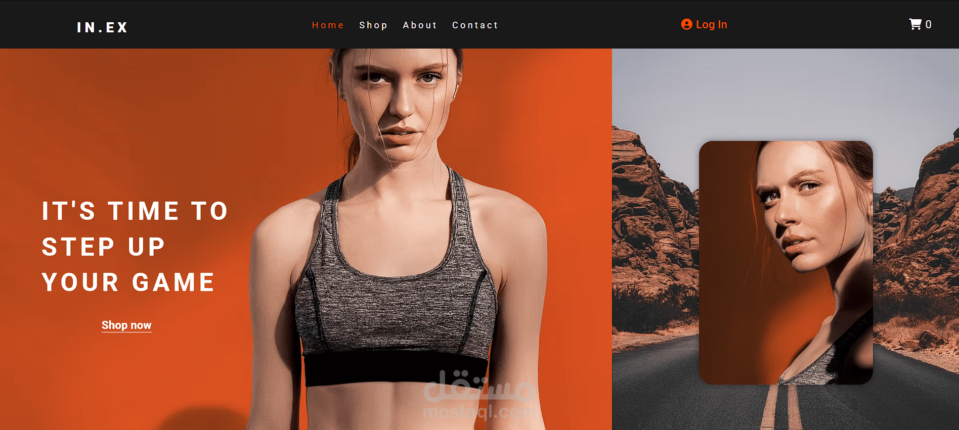 IN-EX ECommerce