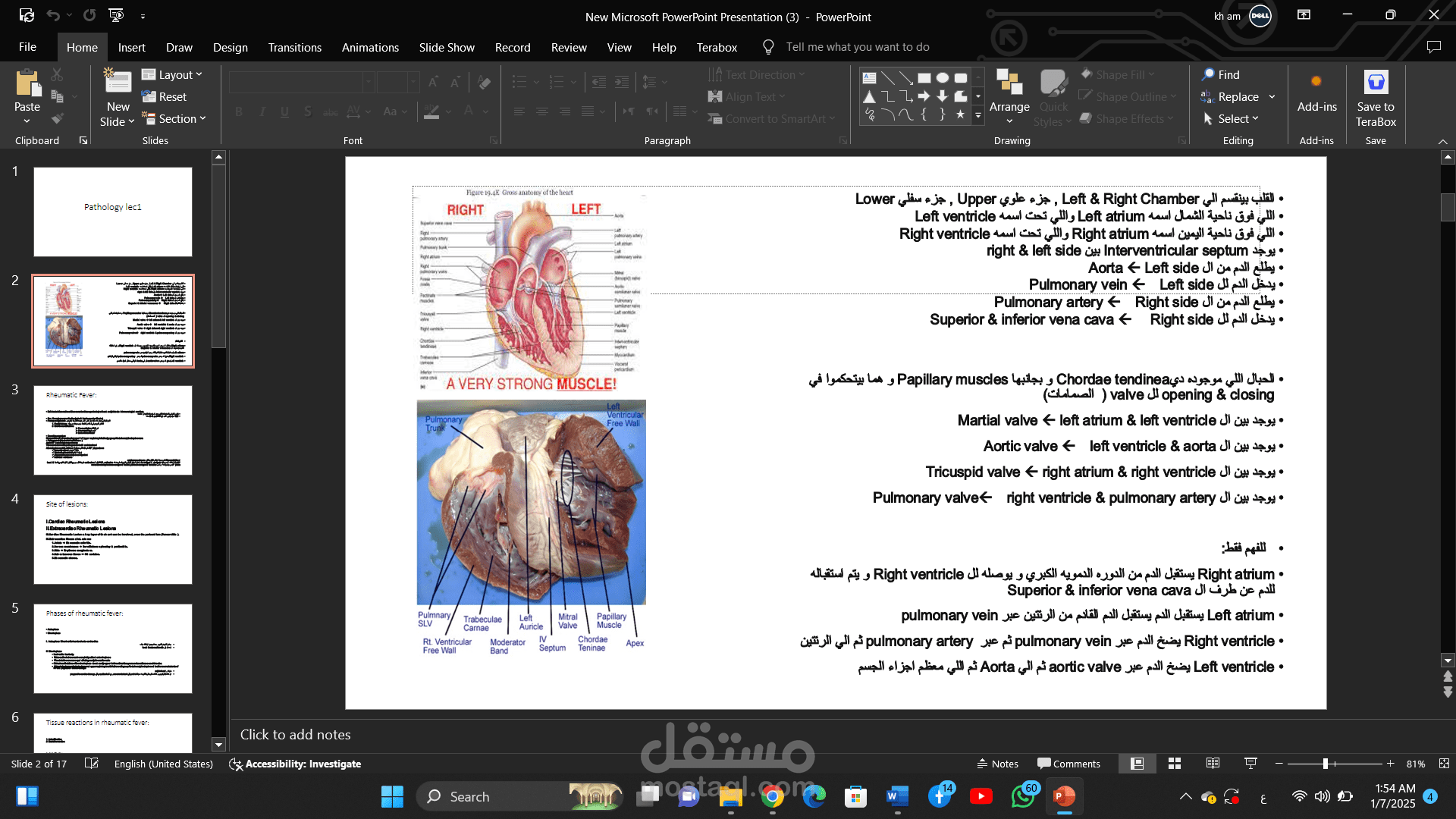 تلخيص وترجمة وتحرير واعادة تفريغ محاضرة جامعية لمادة علم الامراض