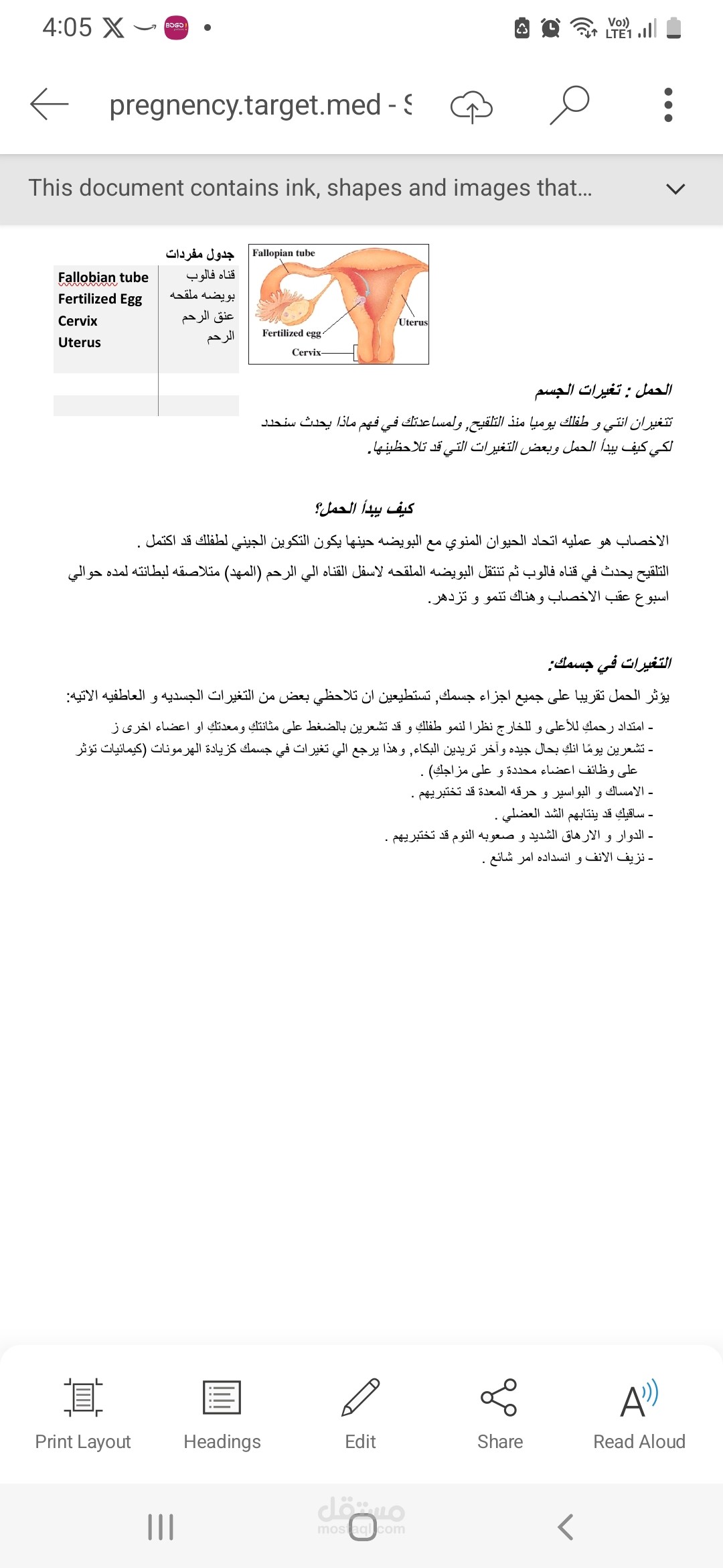 ترجمة طبية لمحتوي طبي
