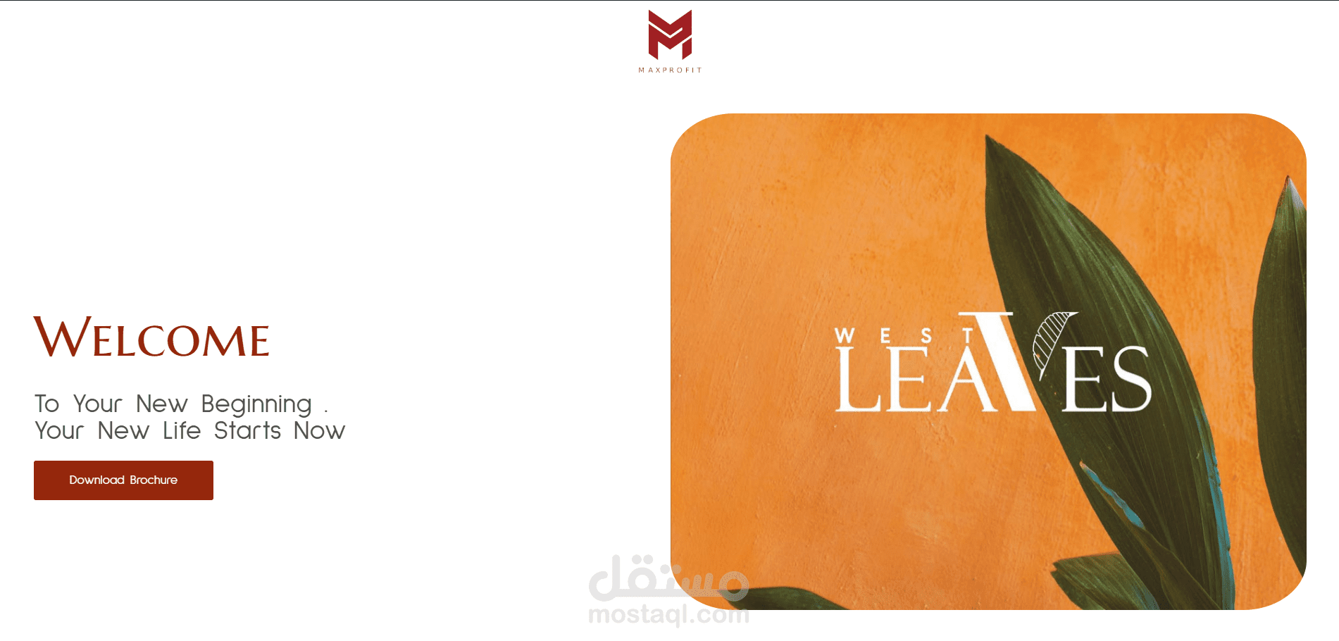 صفحة هبوط لWest Leaves