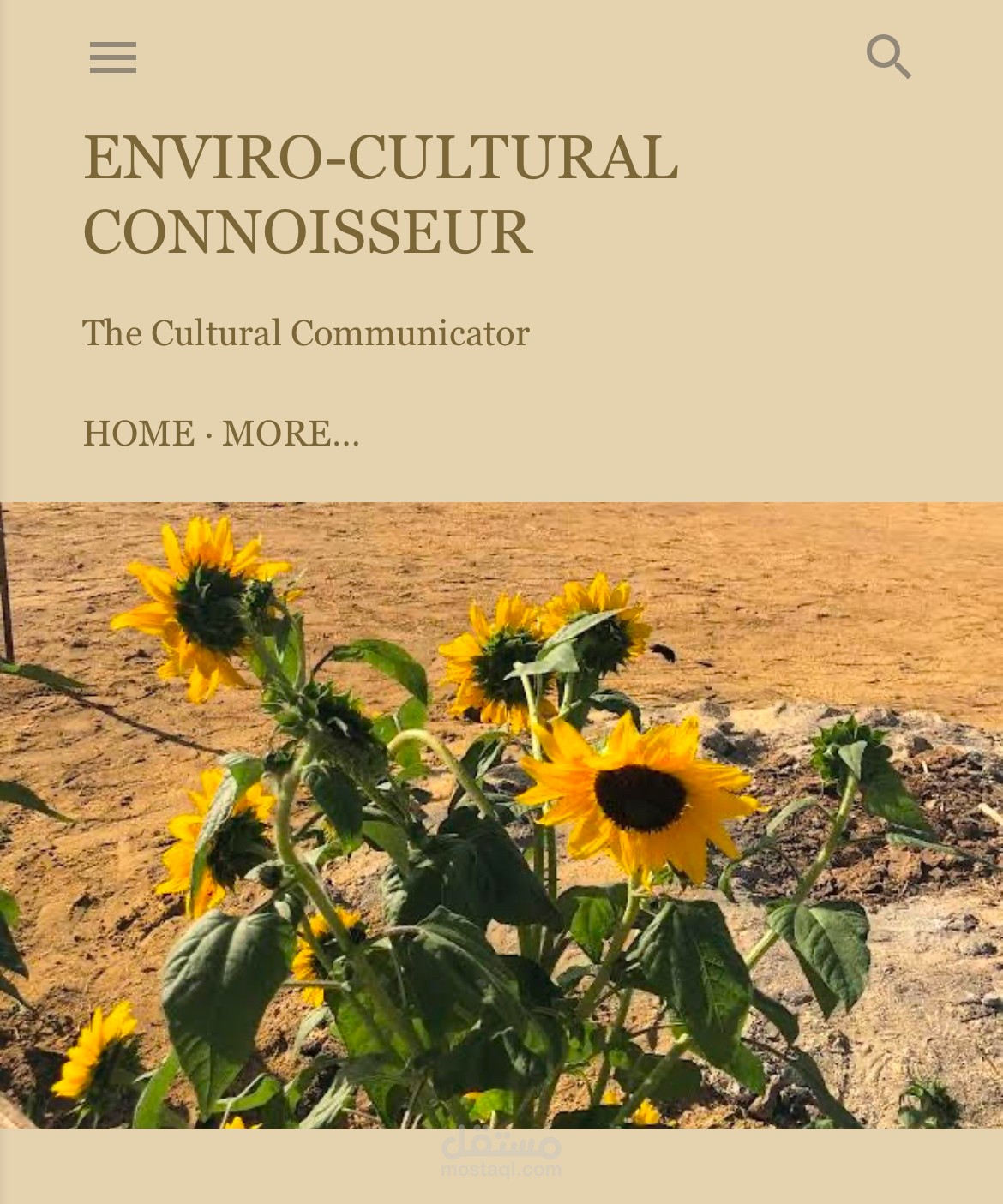 Enviro - Culture Connaisseur blog