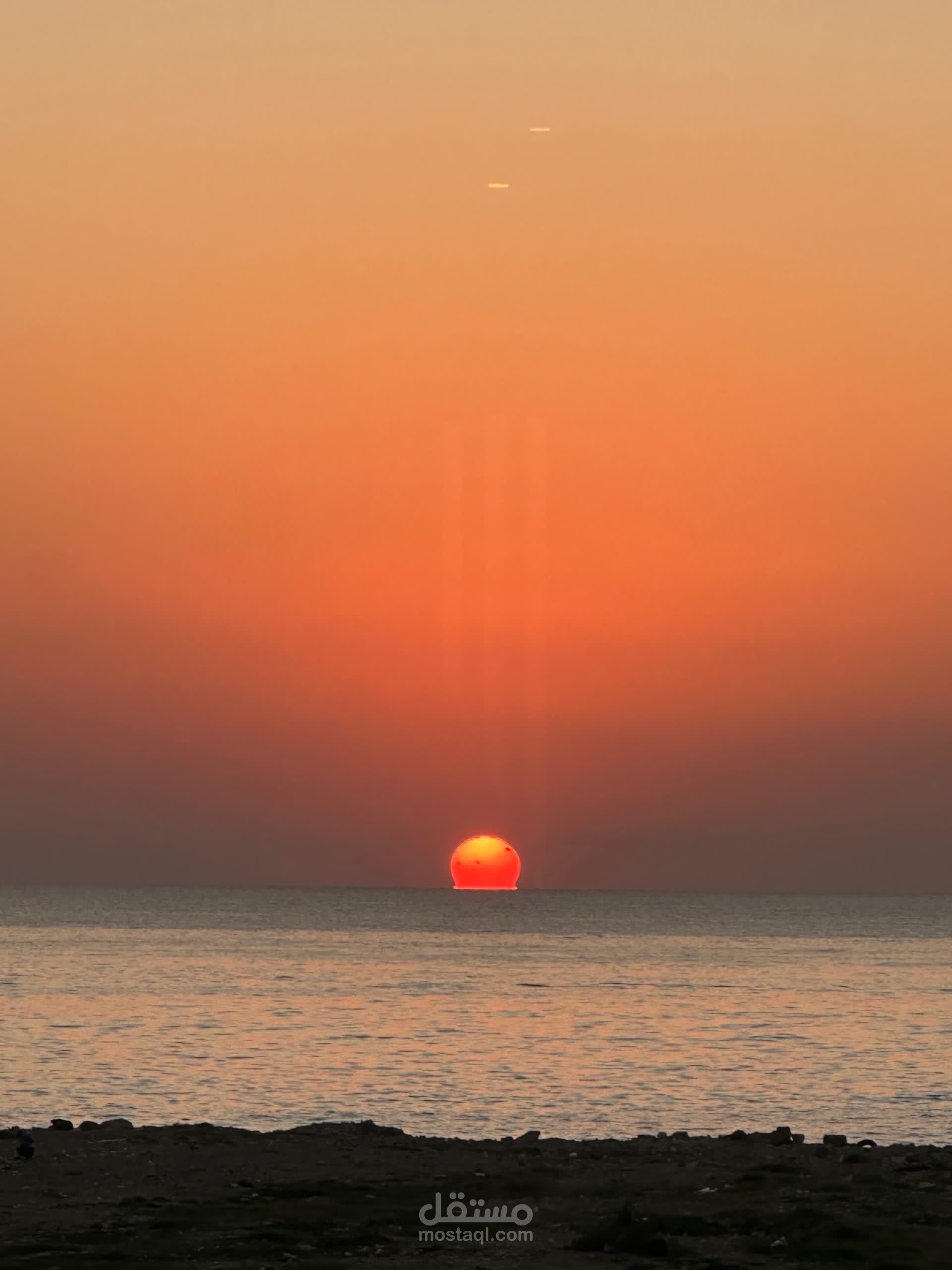 قصيدة والله ما طلعت