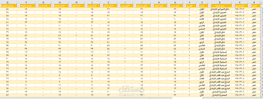 جداول اكسل احترافى بمعادلات بسيطة ومتقدمة