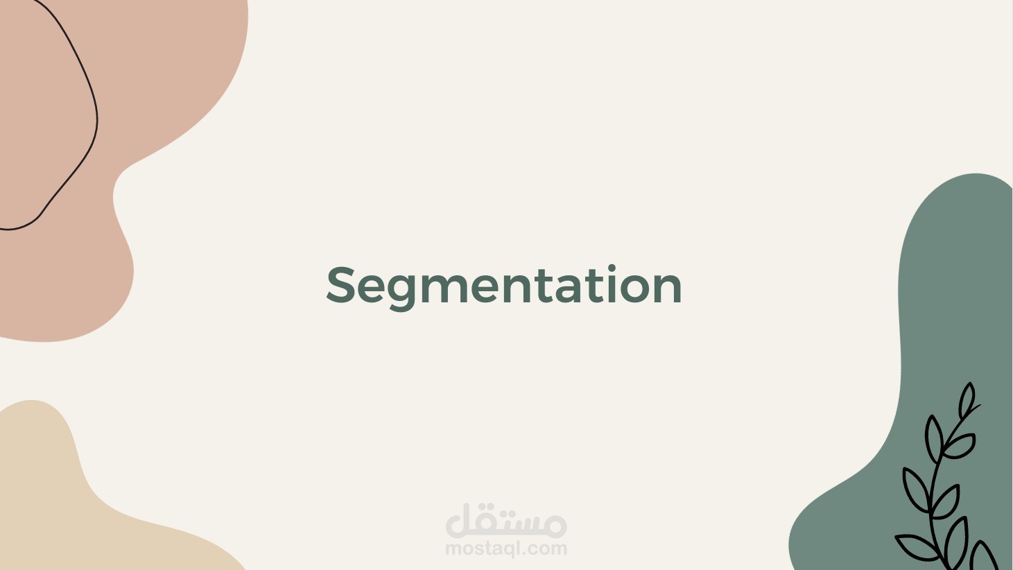 تحديث الجمهور المستهدف لمحل بيع اثاث ( انتاج سيجمن و بيرسونا )