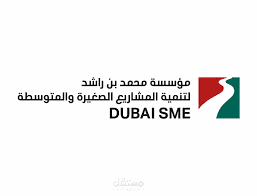 The role of public/government policies to enhance the development and growth of SMEs in UAE