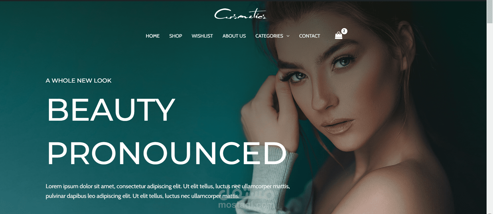 e-commerce website