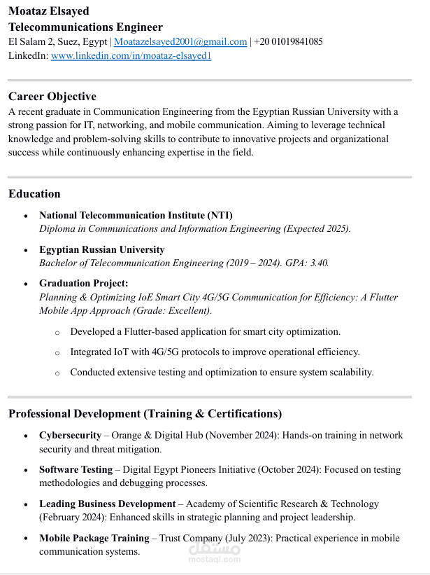 عمل Professional CV