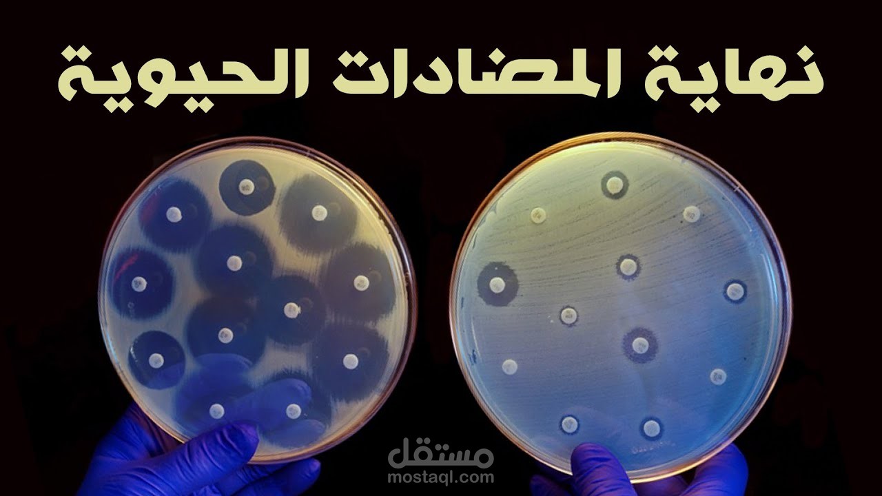 مناعة البكتريا للمضادات الحيوية | صراع مصيره إبادة الملايين