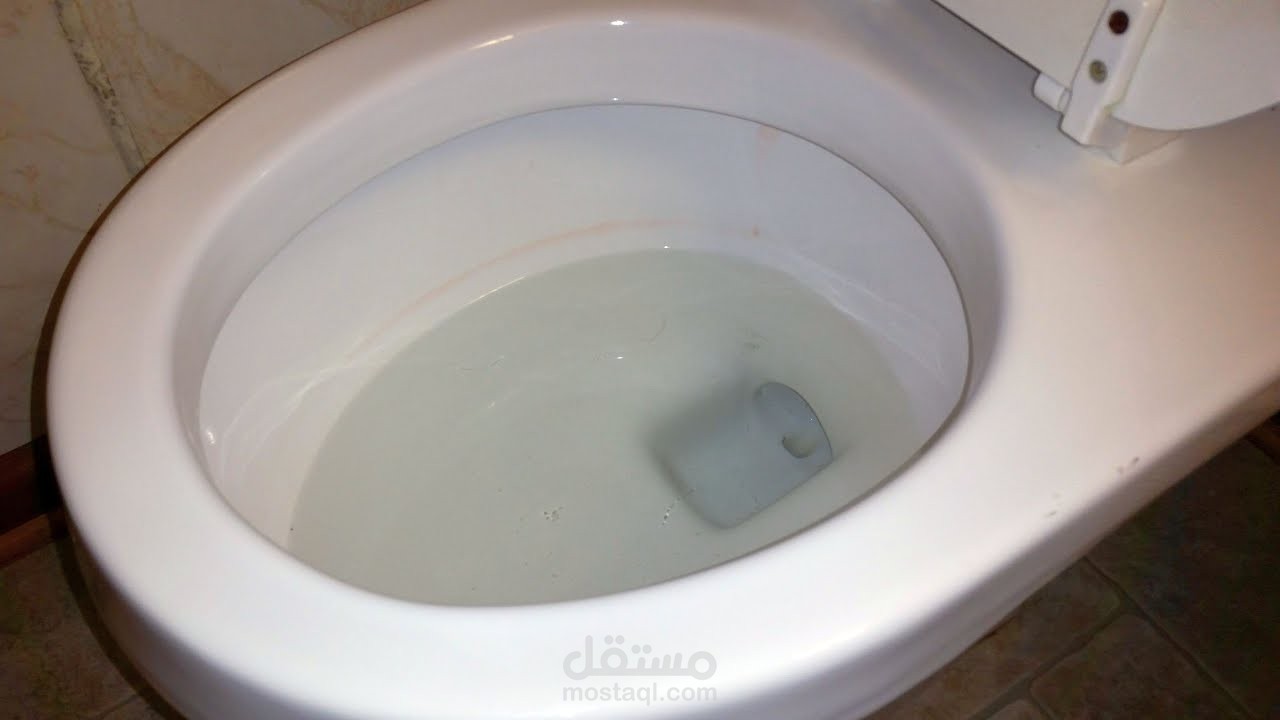 ليه حمامات أوروبا مافيهاش شطاف؟