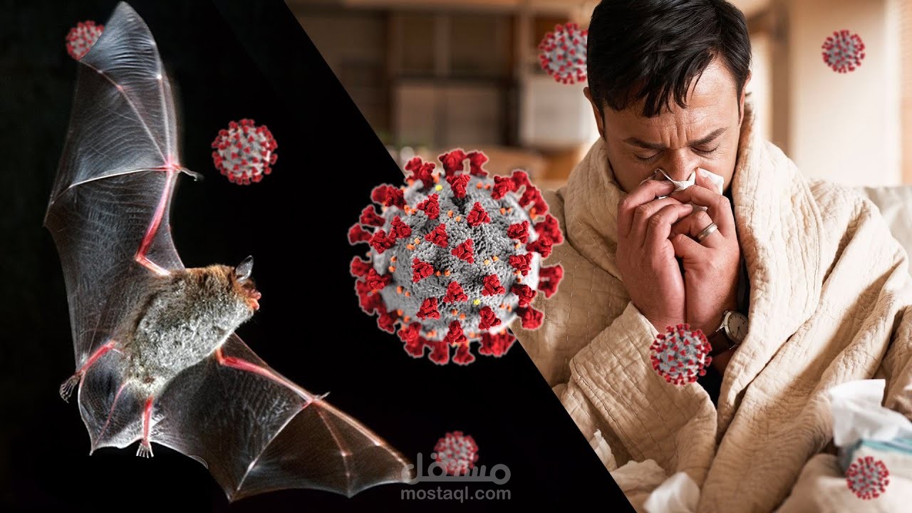 إزاي الفايروسات بتنتقل من الحيوانات للبشر؟