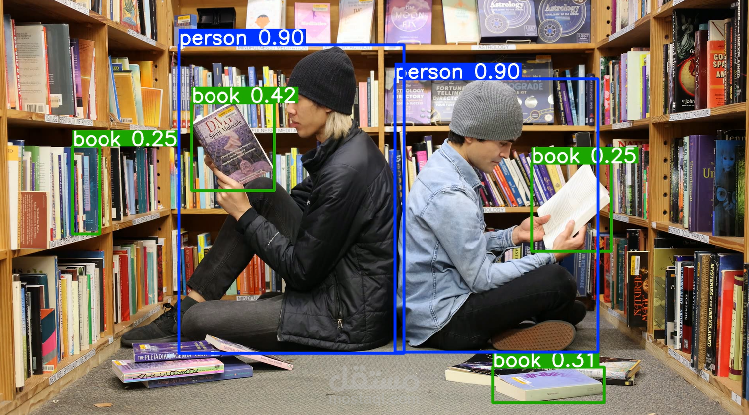 Image Classification & Object Detection