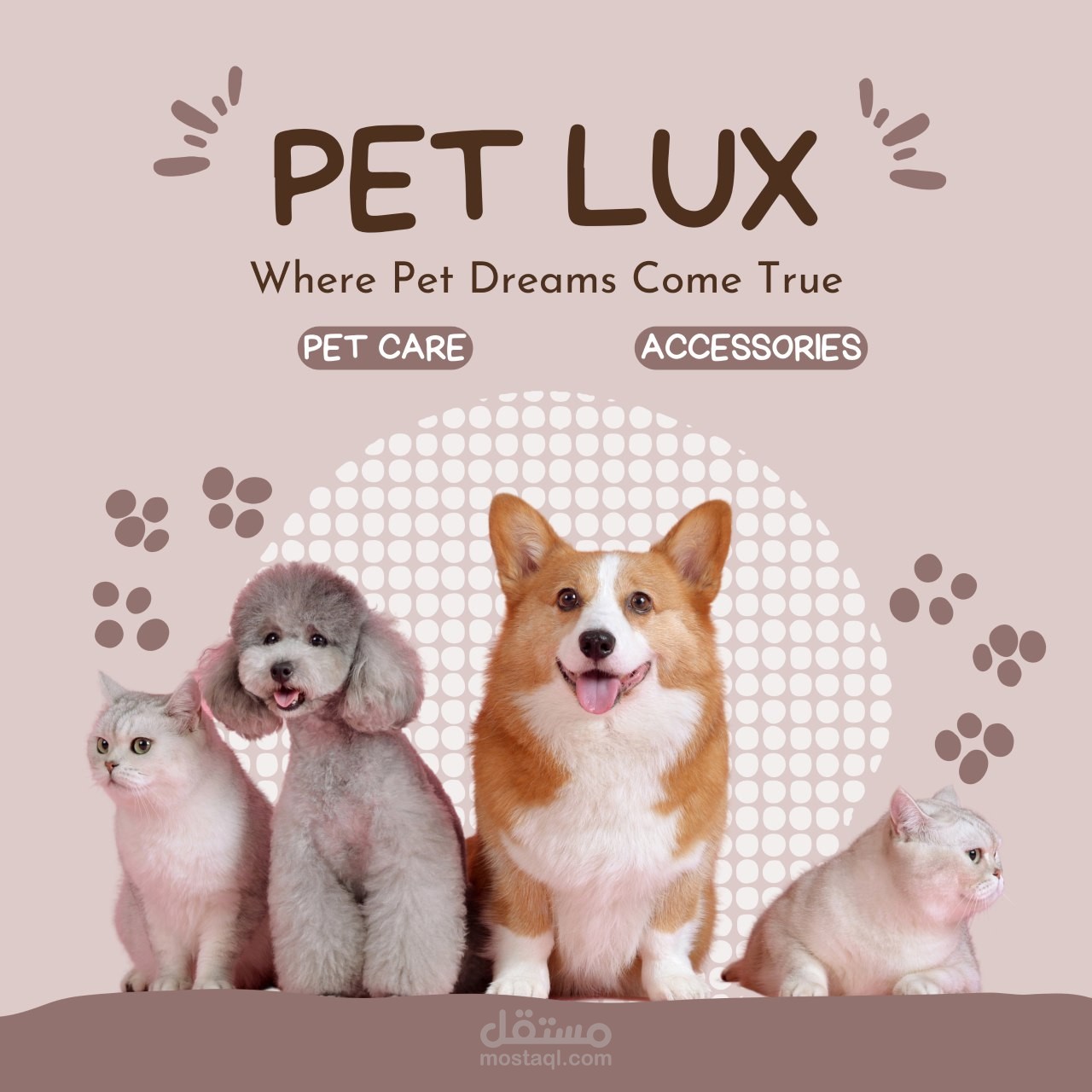 تصميم إعلان دعائي احترافي لمحل "Pet Lux" المتخصص في رعاية وبيع مستلزمات الحيوانات الأليفة.