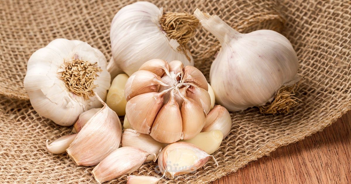 فوائد الثوم النيء ومعلومات هامة عنه