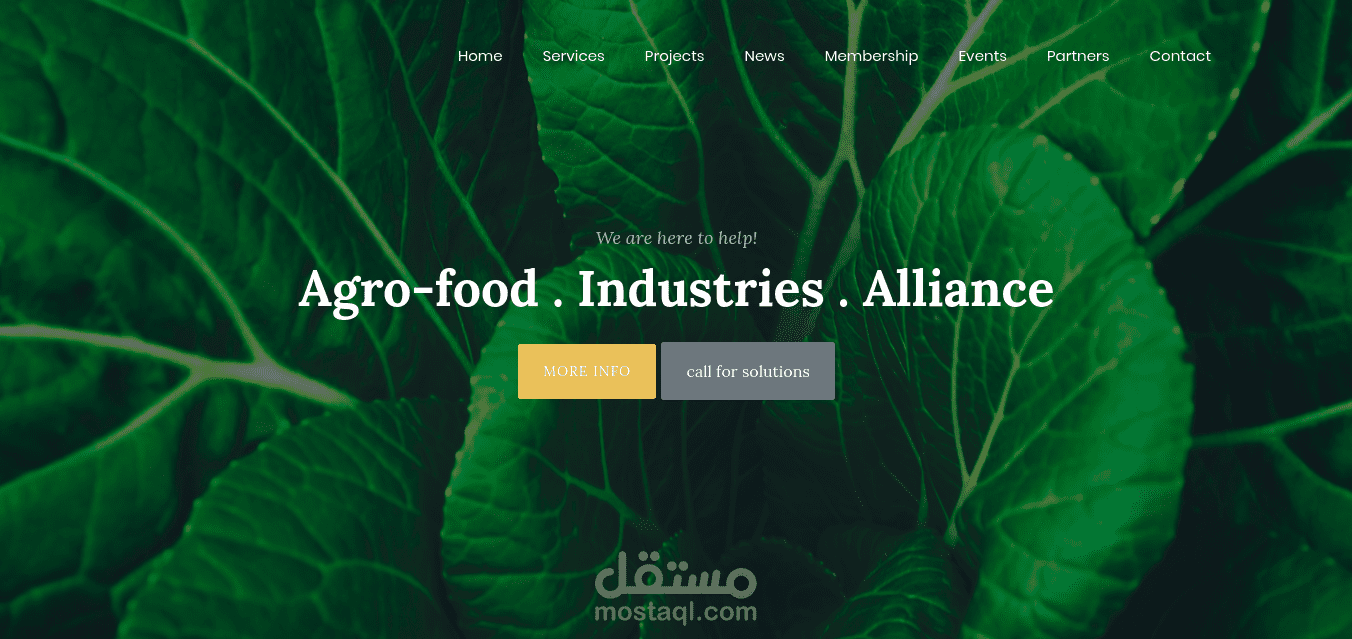موقع agro-food