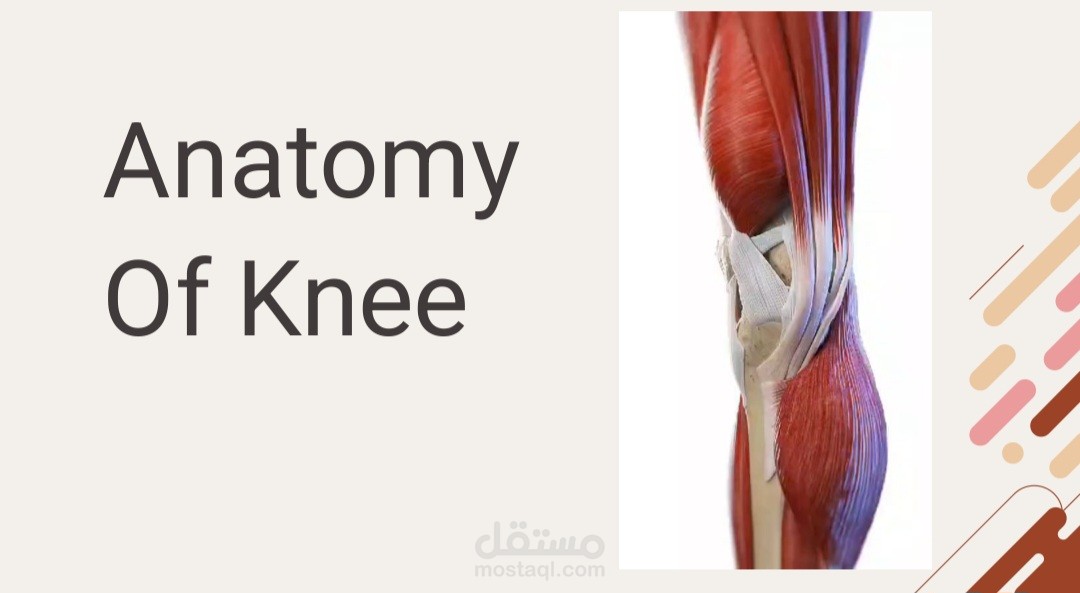 عمل بوربوينت ل knee joint