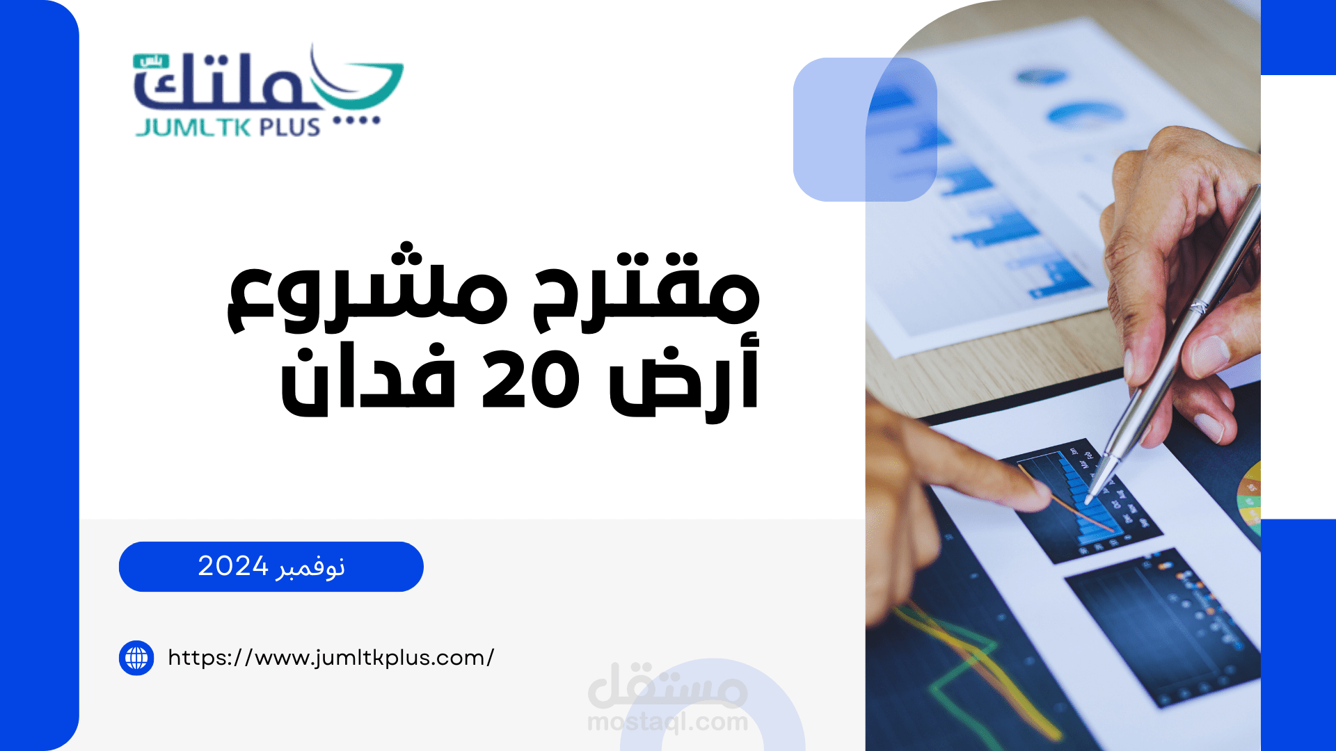 professional presentation project