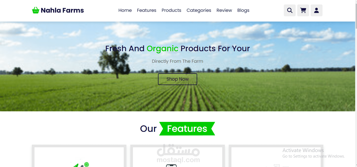 landing page e-commerce website