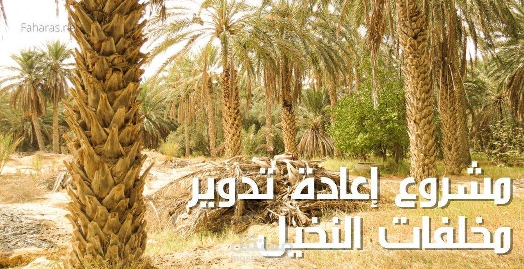 دراسة جدوى - مشروع استثمار مخلفات النخيل اقتصاديا
