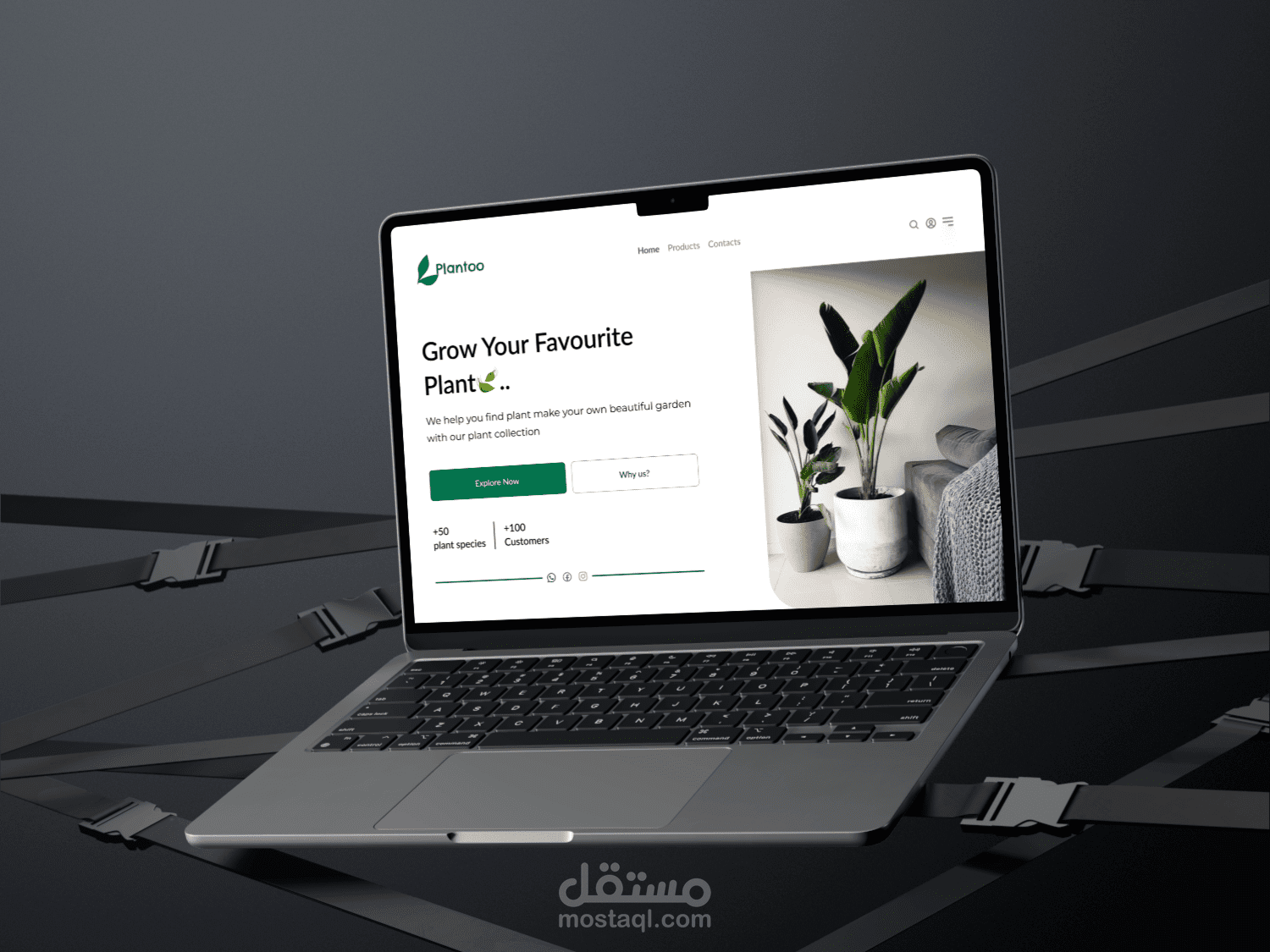 تصميم صفحة هبوط لموقع خاص ببيع النباتات ( Plantoo )