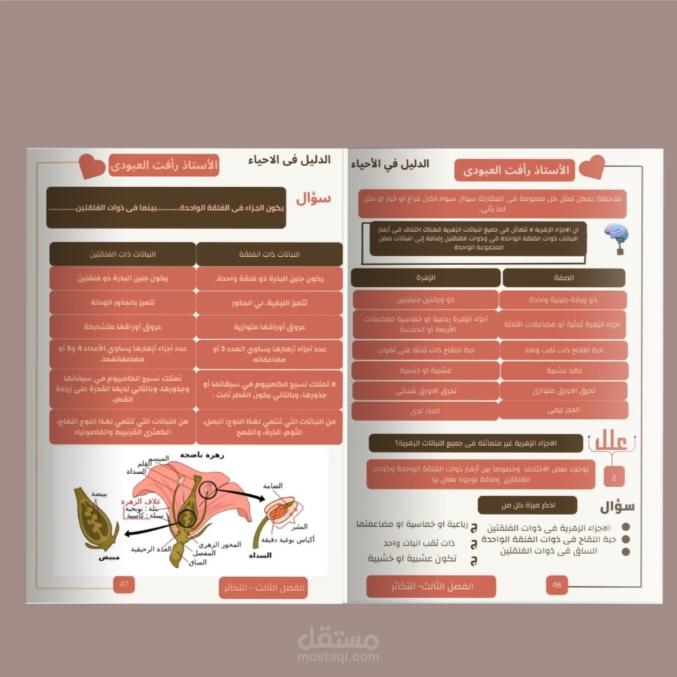 تصميم ملازم تعليمية – كتب إلكترونية – تقارير PDF باحترافية كاملة