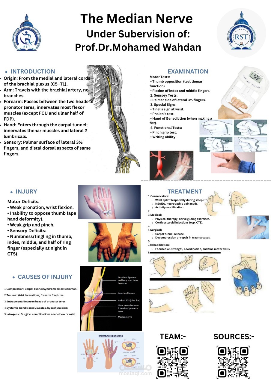 Poster The Median Nerve