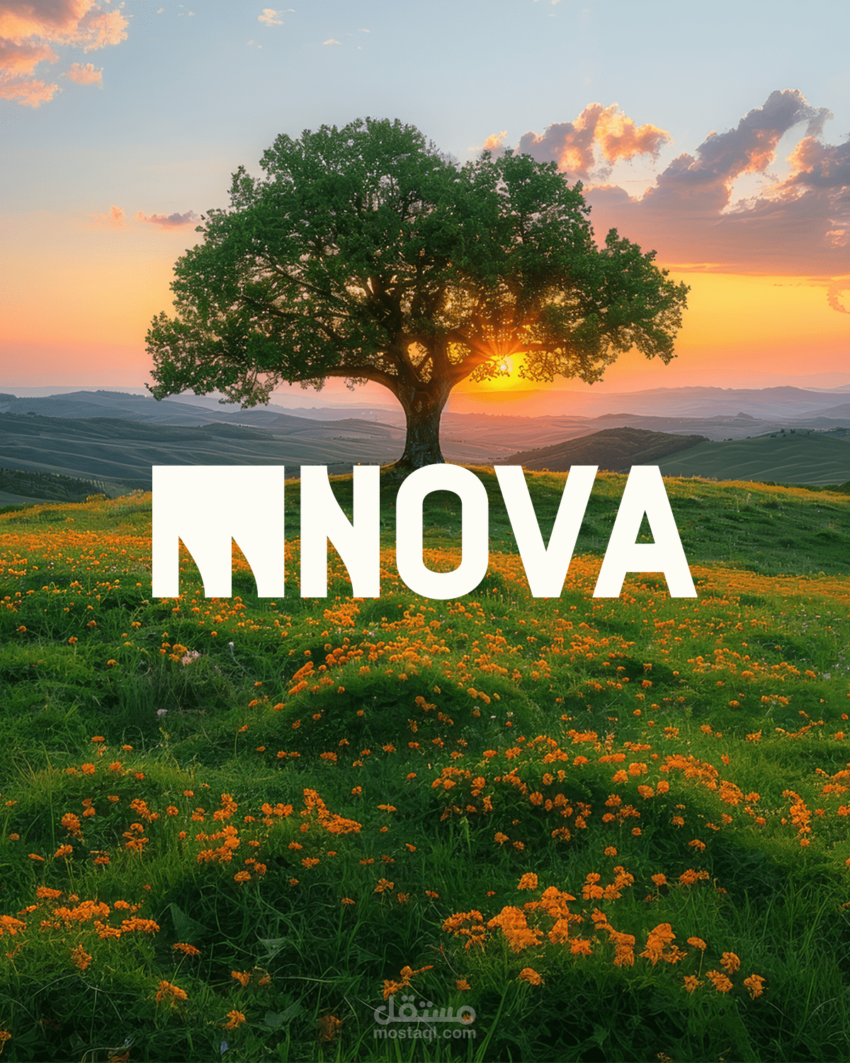 Nova - Brand identity