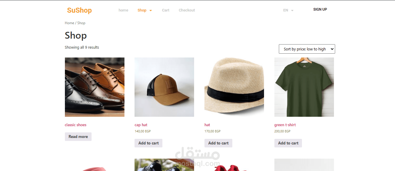 ecommerce website using WordPress