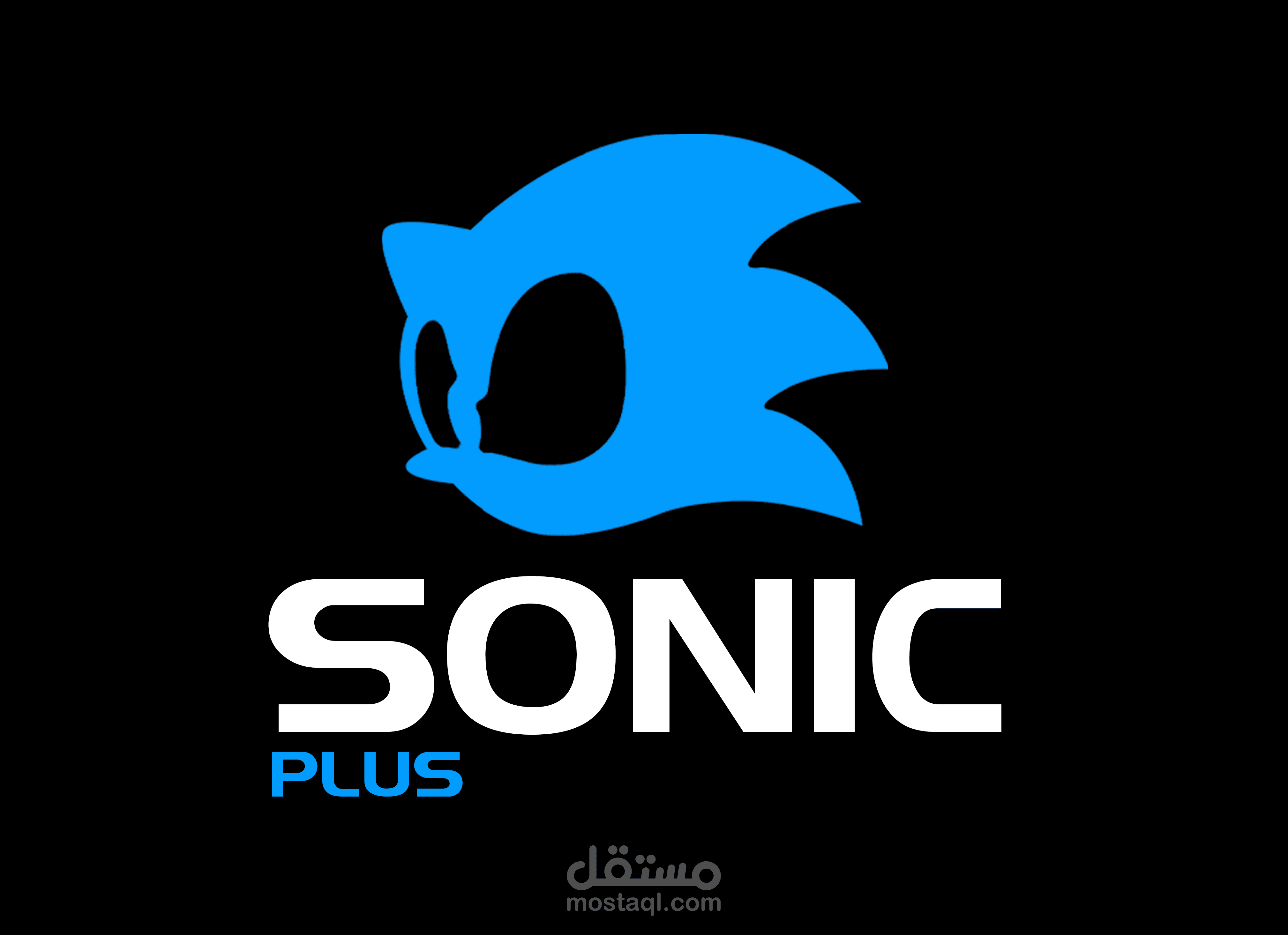 SONIC Store  | Company Identity