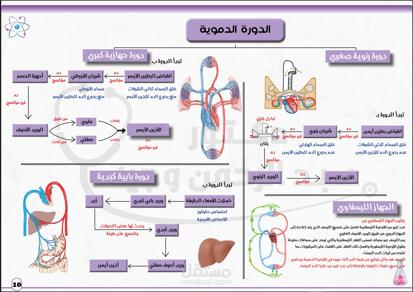 تصميم داخلي لمذكرة طبية