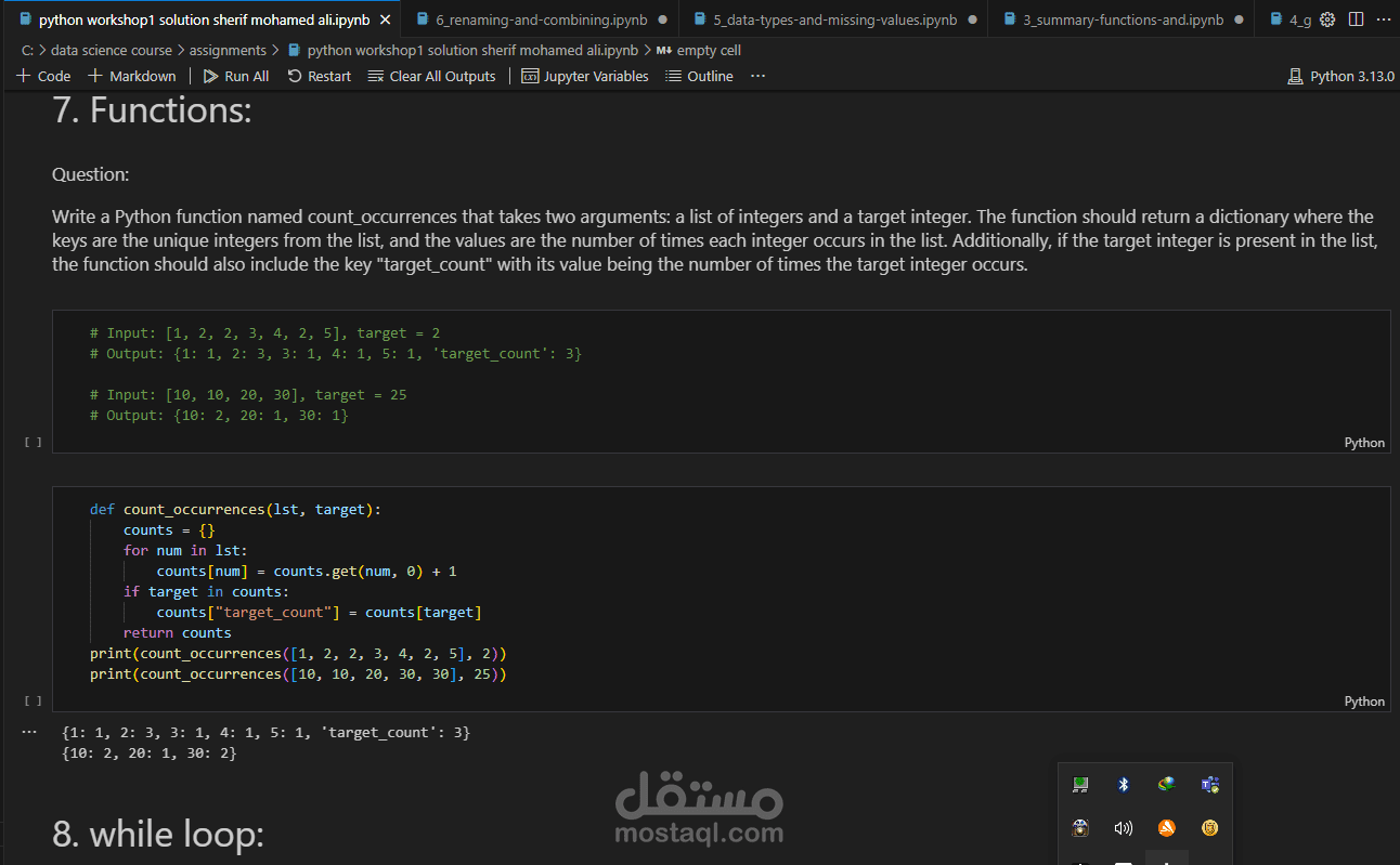 python project
