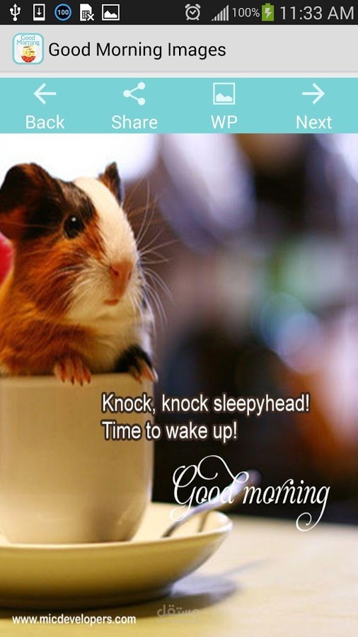 تطبيق صور صباحيات