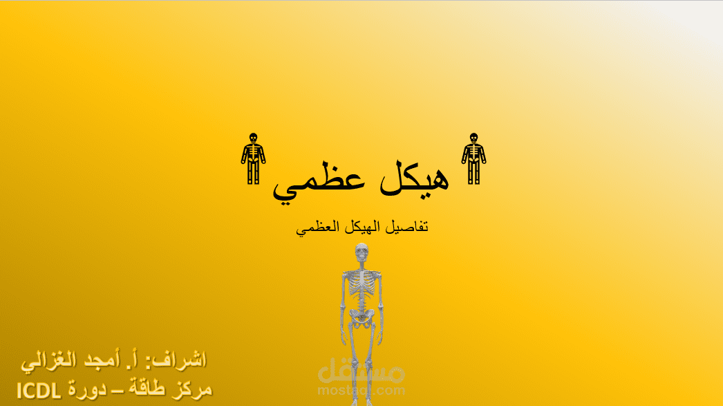 عرض تعليمي لهيكل عظمي