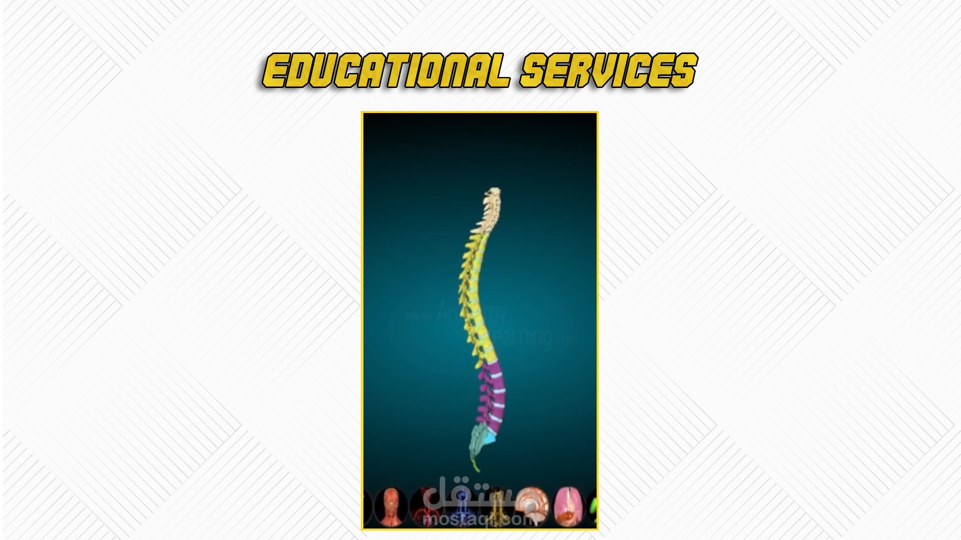 تدريس محتوى طبي للطلبة