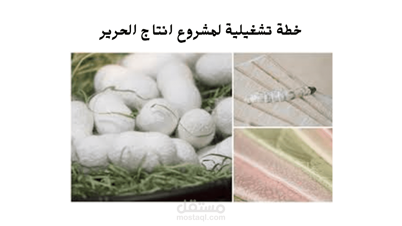 اعداد خطة تشغيلية لمشروع انتاج الحرير