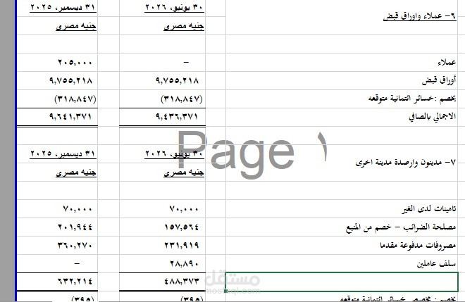 مراجع خارجي ومحاسب عام