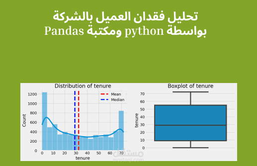 تحليل فقدان العميل