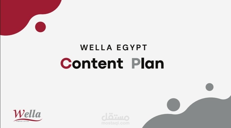 خطة محتوى ل Wella Egypt (غير رسمية)