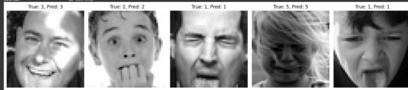 Face Expression Recognition