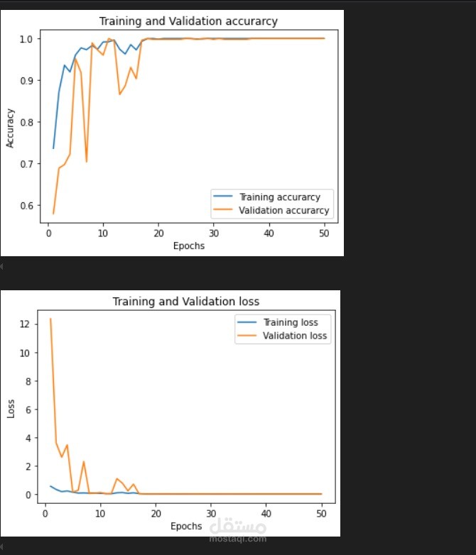 Brain Stroke Detection