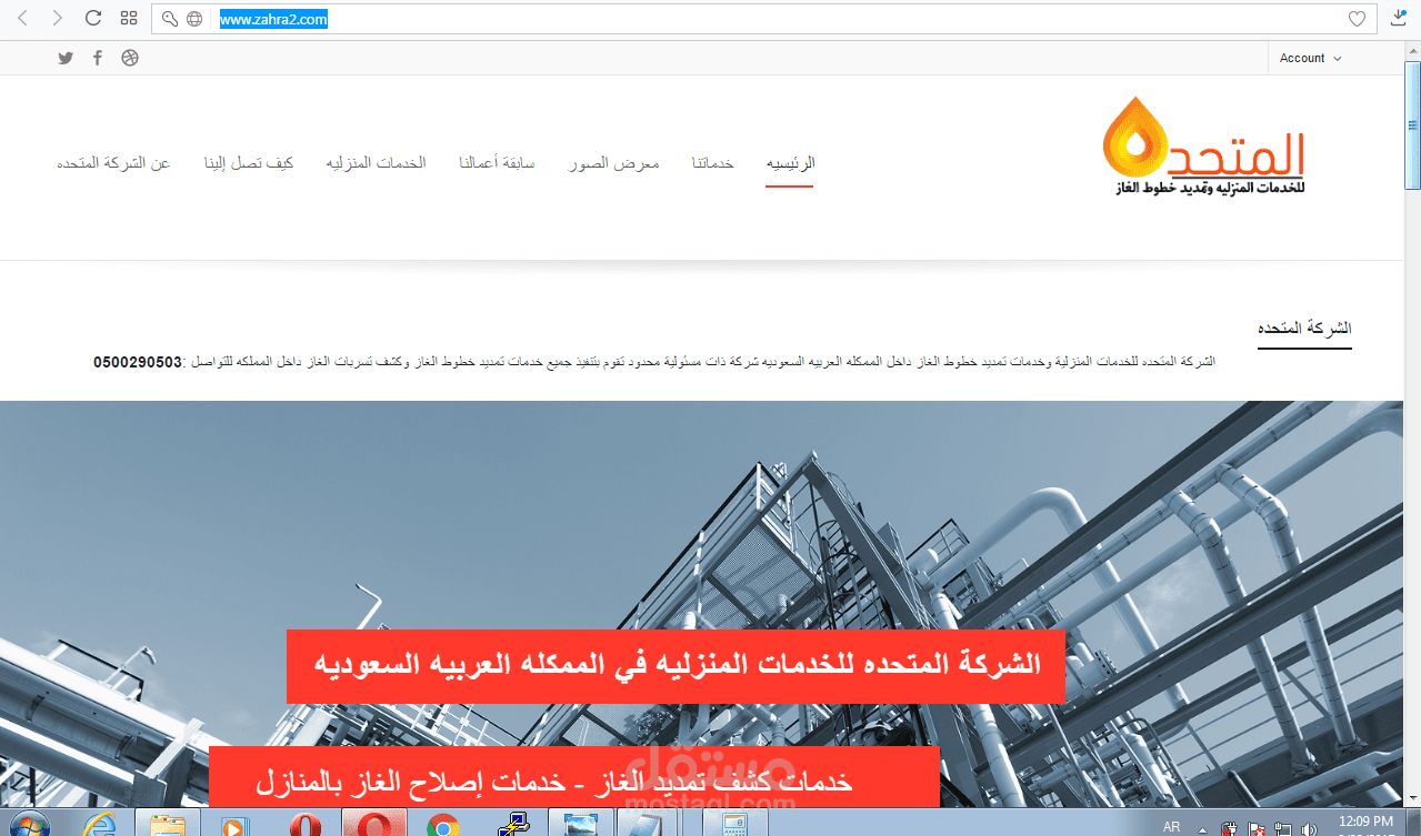 wordpress E commerce Websites  - موقع وردبرس خاص لشركة تجارية