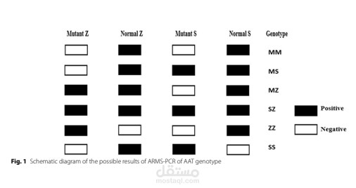Association of A1AT genetic polymorphism  and NSCLC: a case‑ control study in Egyptian  population