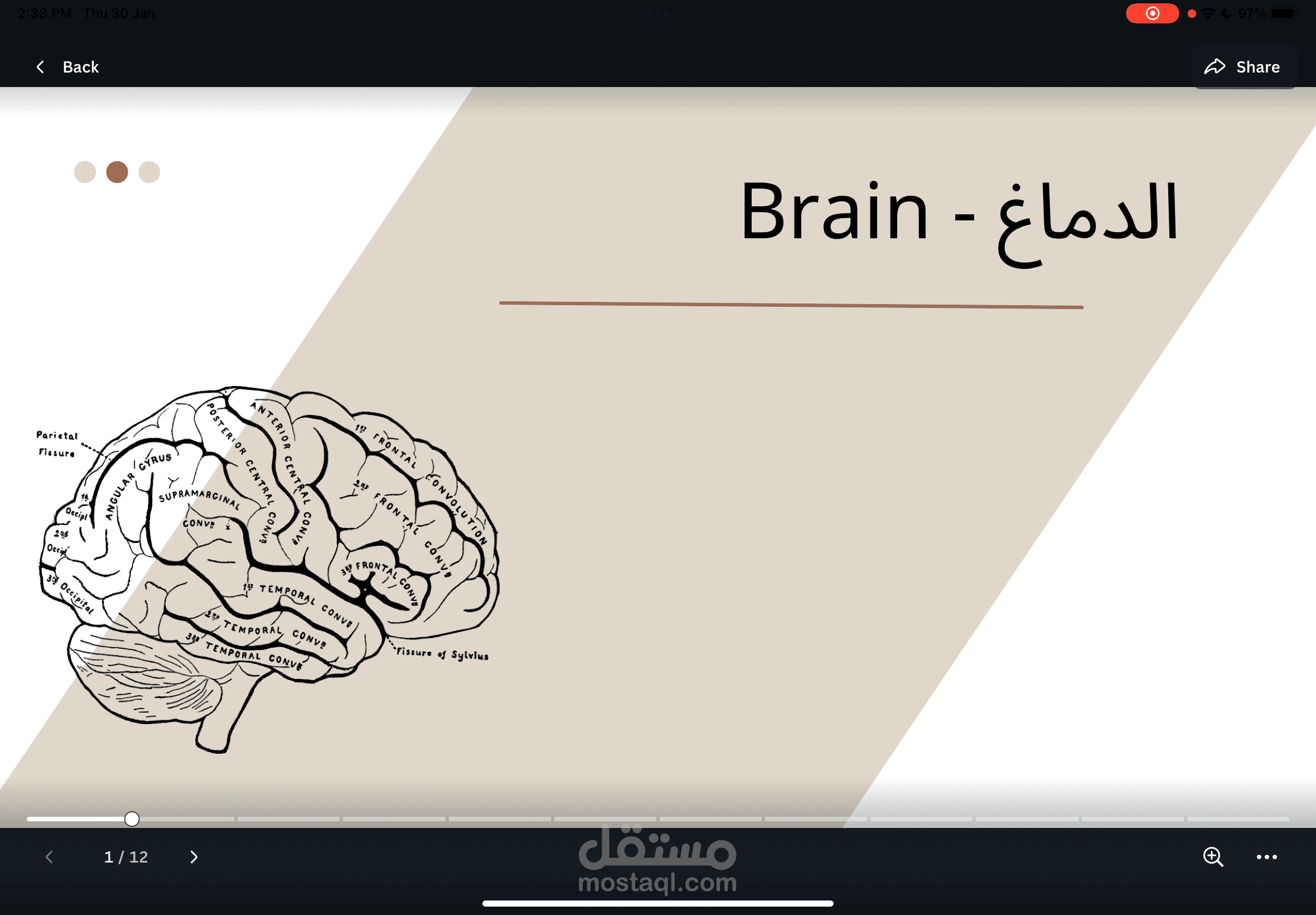 تصميم عرض