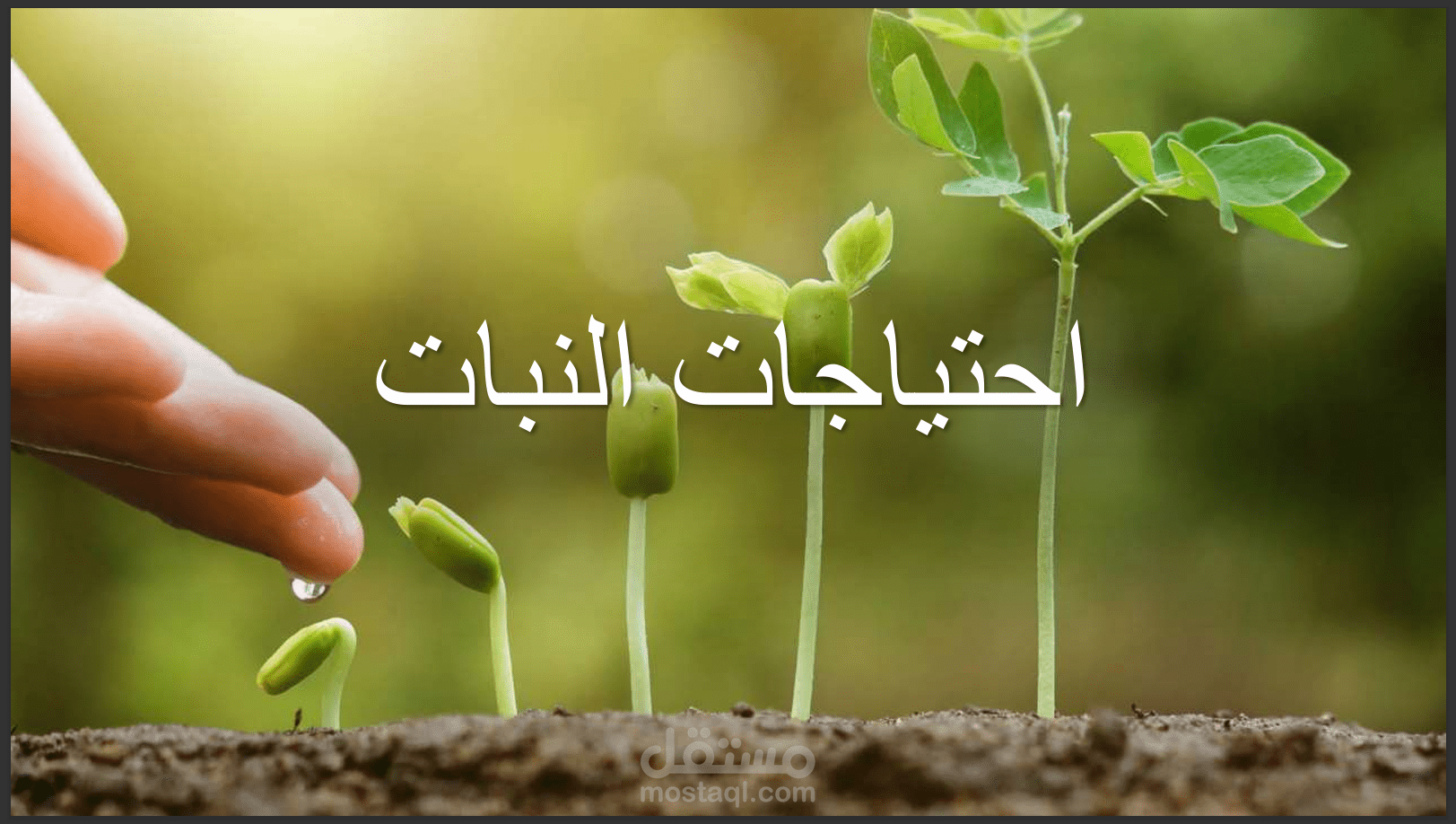 عرض power point للاطفال